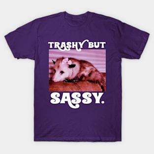 Womens clothing possum T-Shirt